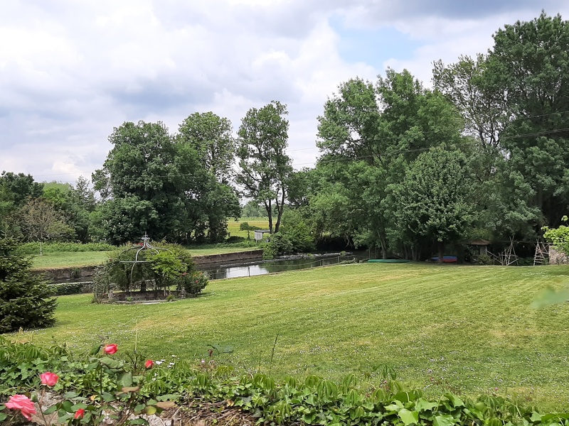 Entretien de parcs et jardins